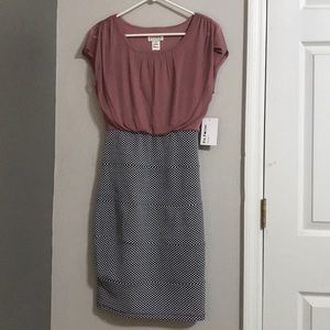NWT bodycon rose and navy dress